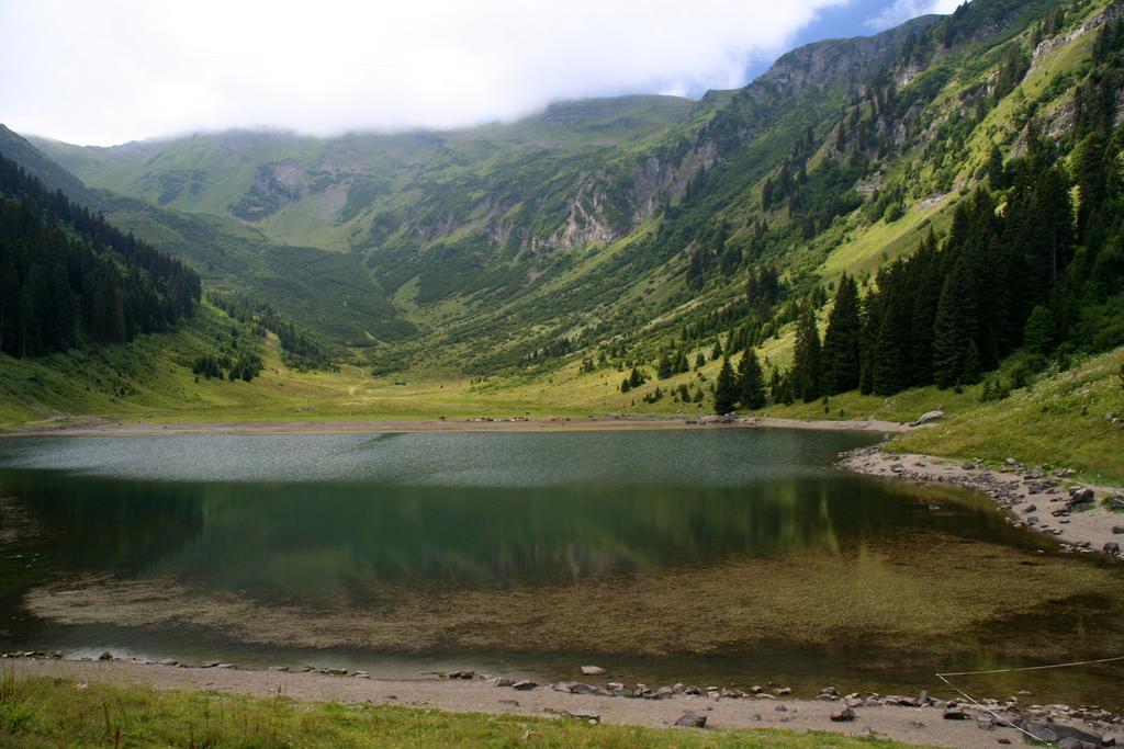 Residence Les Chardons Argentes 2 Samoens Ngoại thất bức ảnh