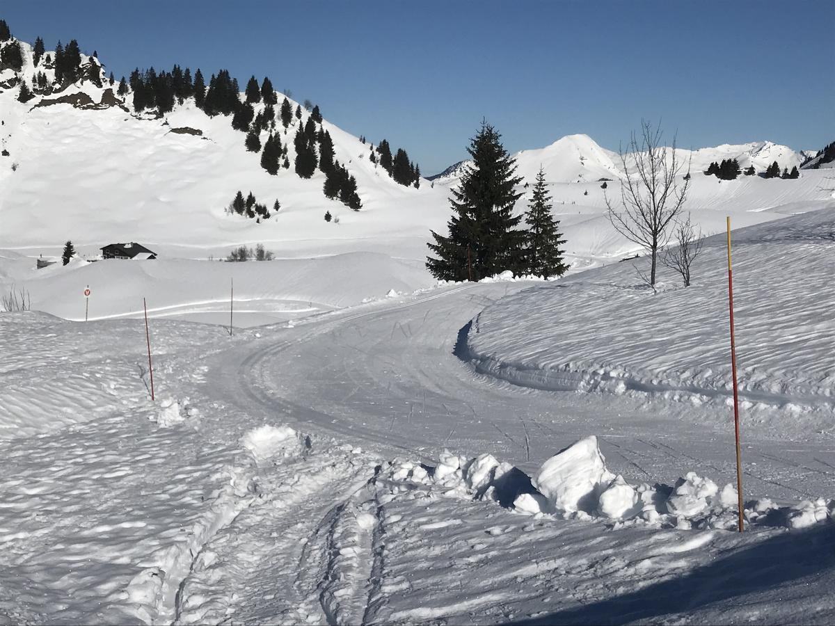 Residence Les Chardons Argentes 2 Samoens Ngoại thất bức ảnh